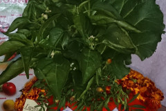 Поделки