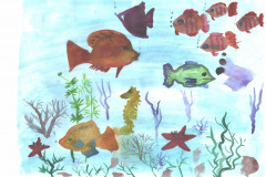 Рисунки