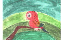 Рисунки