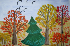 Рисунки