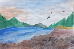Рисунки