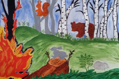 Рисунки