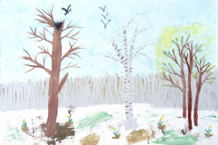 Рисунки