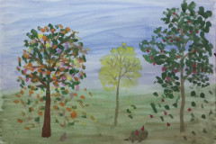 Рисунки