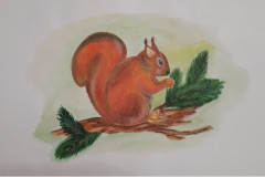 Рисунки