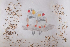 Рисунки