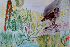 Рисунки