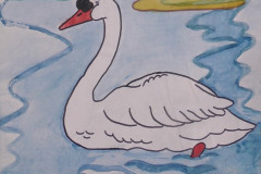 Рисунки