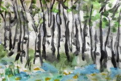 Рисунки