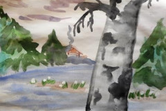 Рисунки