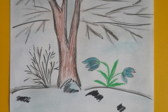 Рисунки