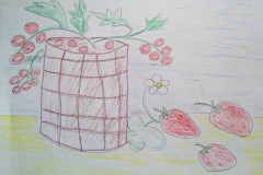 Рисунки