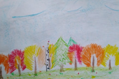Рисунки
