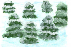 Рисунки