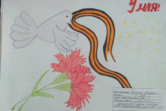 Рисунки