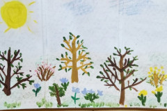 Рисунки