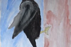 Рисунки