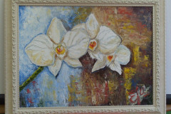 Рисунки