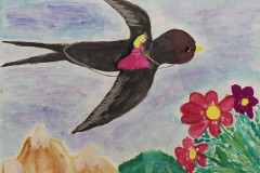 Рисунки