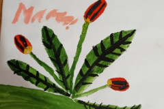 Рисунки