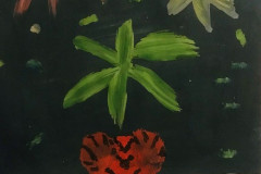 Рисунки