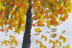 Рисунки