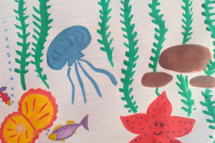 Рисунки
