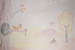 Рисунки
