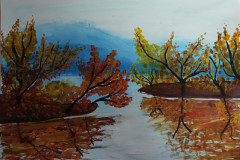 Рисунки