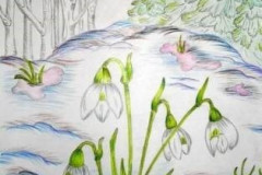 Самохин Богдан, куратор Литфин Д.С. МАОУ ДО ДЮЦ им. Б.Г. Лесюка г. Елец Липецкая обл.
