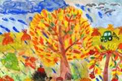 Сотникова Варвара, куратор Литфин Д.С. МАОУ ДО ДЮЦ им. Б.Г. Лесюка Липецкая область, город Елец