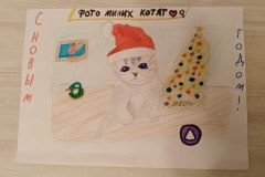 Суровая Алёна, куратор Шутова А.А. Гавриловская средняя школа им. Г. Крысанова п. Гаврилово Калининградская область